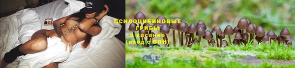 мескалин Карталы
