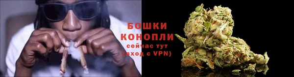 мет Карпинск