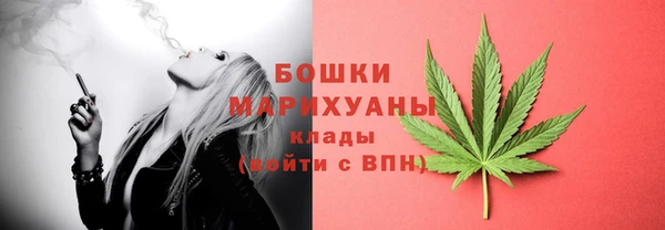 мет Карпинск