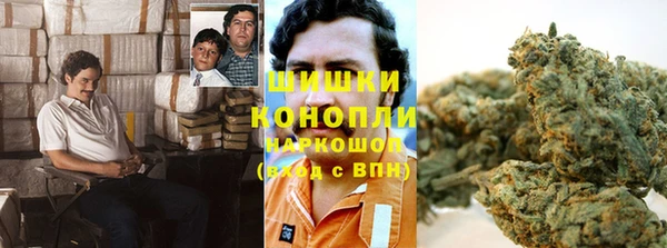 мет Карпинск
