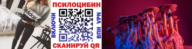 Купить закладки  Нефтекамск  Псилоцибиновые грибы Psilocybe 