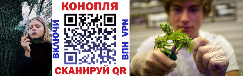 Купить закладки  Нефтекамск  Бошки марихуана AK-47 